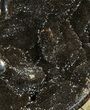 Septarian Dragon Egg Geode - Black Crystals #89568-2